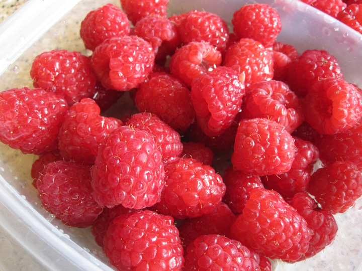 Keeping Raspberries Fresh Imagine Our Life