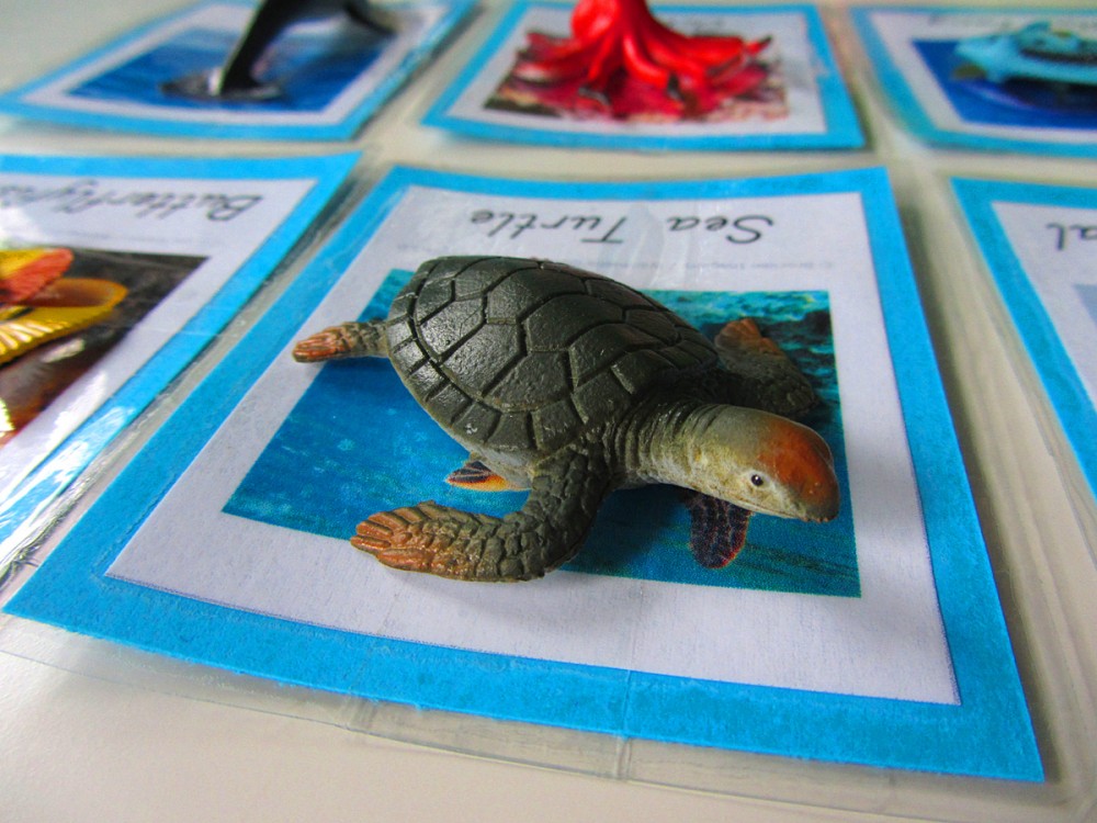Sea Creature 3-Part Cards
