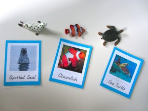 Sea Creature 3-Part Cards