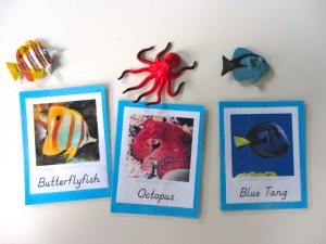 Sea Creature 3-Part Cards