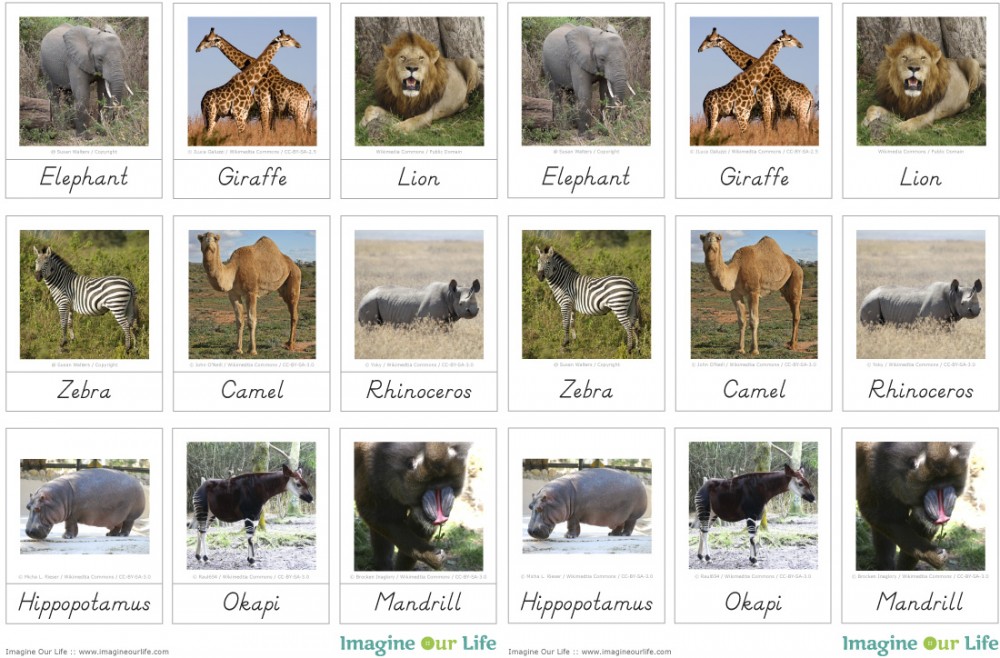 Montessori African Animals 3-Part Cards
