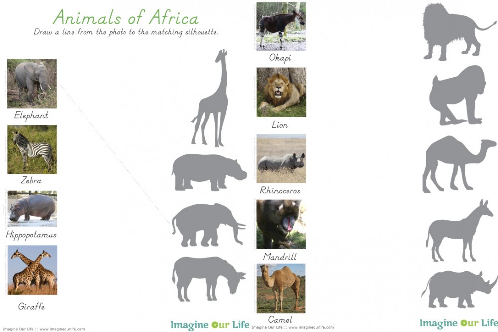 Animals of Africa for the Montessori Wall Map & Quietbook with Printables