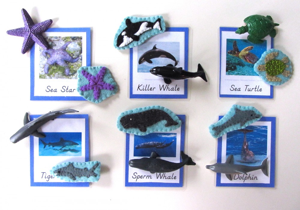 Animals of the Ocean for the Montessori Wall Map & Quietbook with Printables