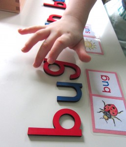 Montessori CVC Word Match Printables