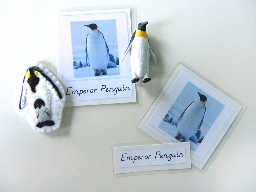 Animals of Antarctica for the Montessori Wall Map & Quietbook with Printables