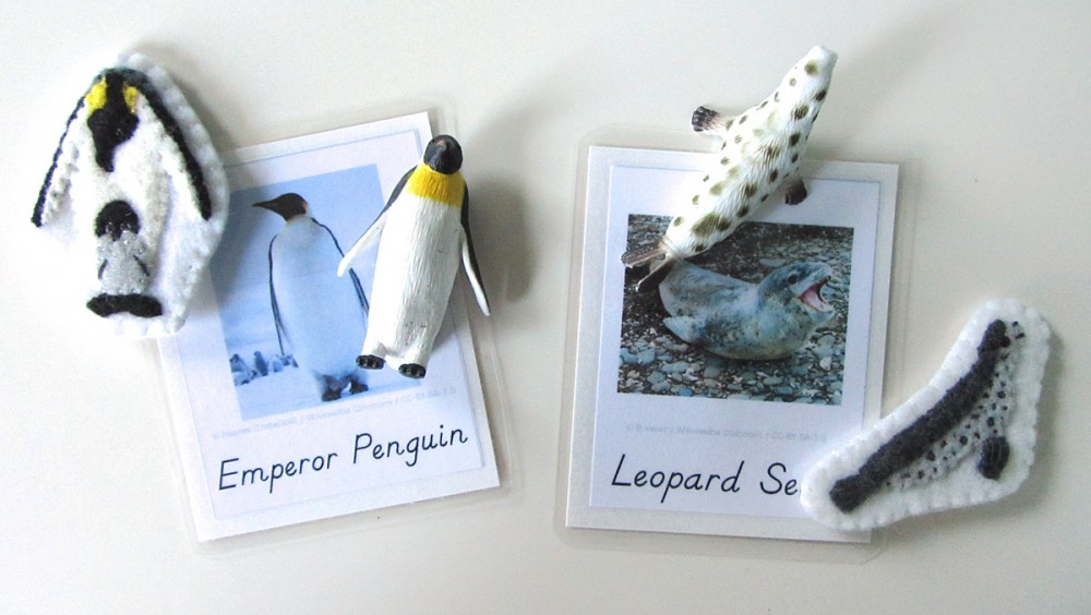 Animals of Antarctica for the Montessori Wall Map & Quietbook with Printables