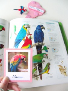 Animals of South America for the Montessori Wall Map & Quietbook with Printables