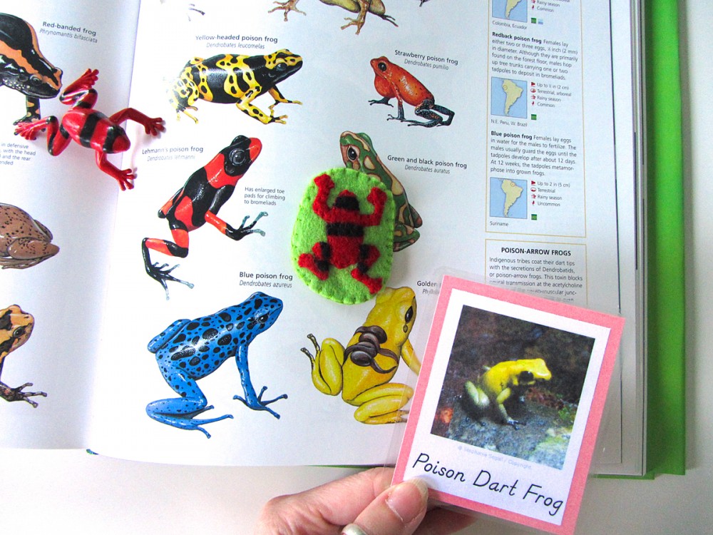 Animals of South America for the Montessori Wall Map & Quietbook with Printables