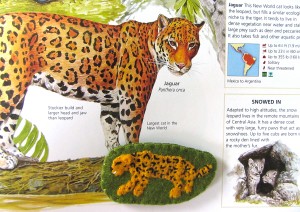 Animals of South America for the Montessori Wall Map & Quietbook with Printables