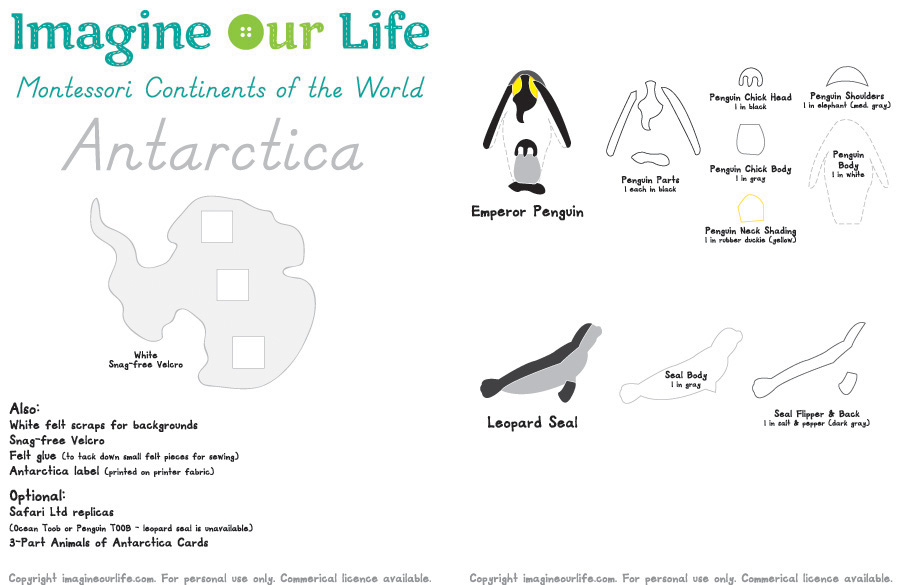 Animals of Antarctica for the Montessori Wall Map & Quietbook with Printables