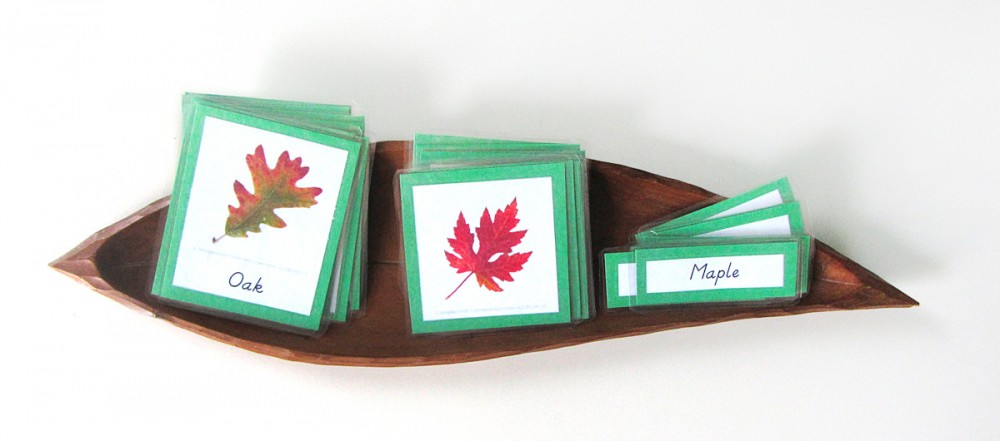 Autumn Leaves 3-Part Cards