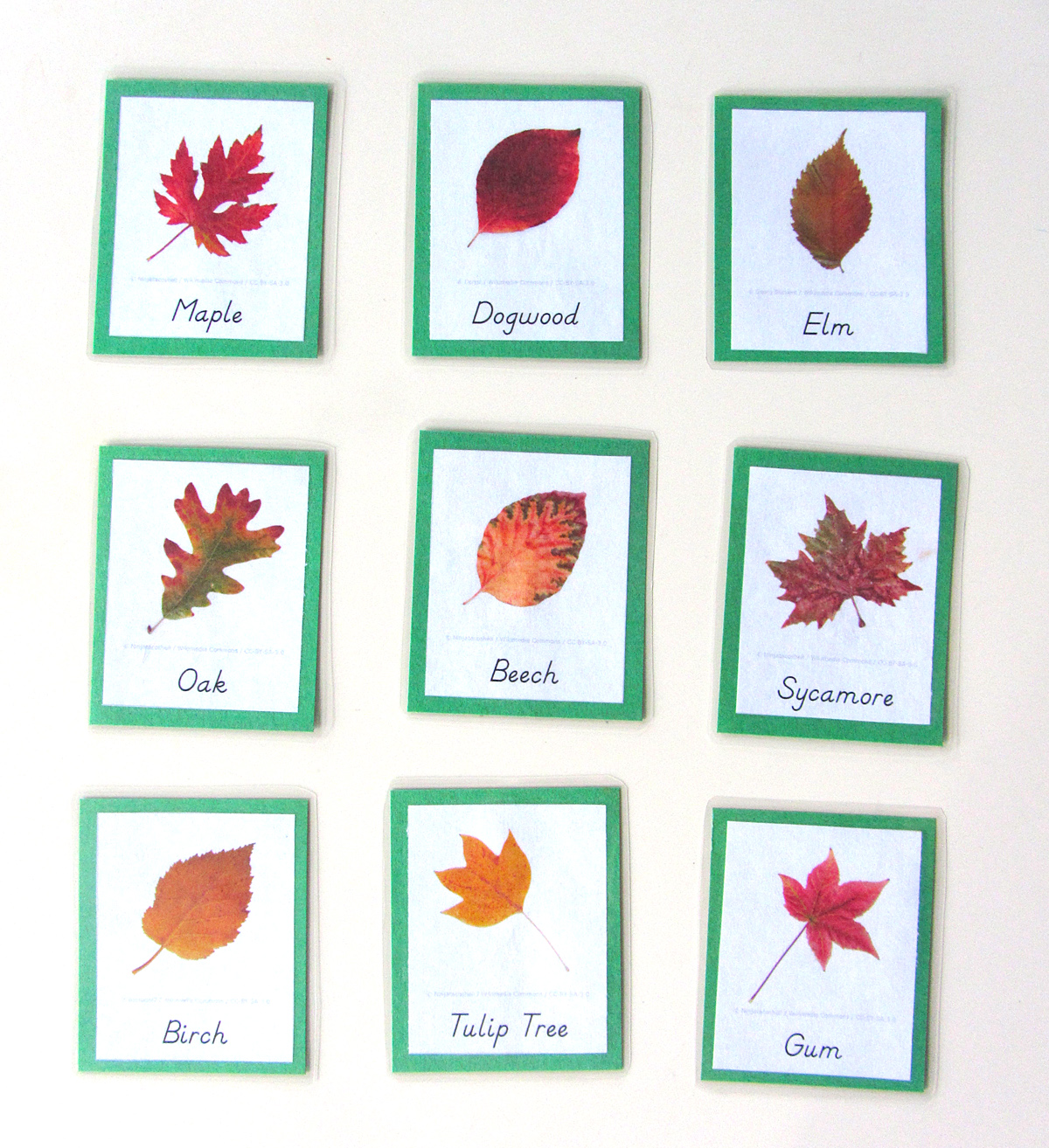 Leaves cards