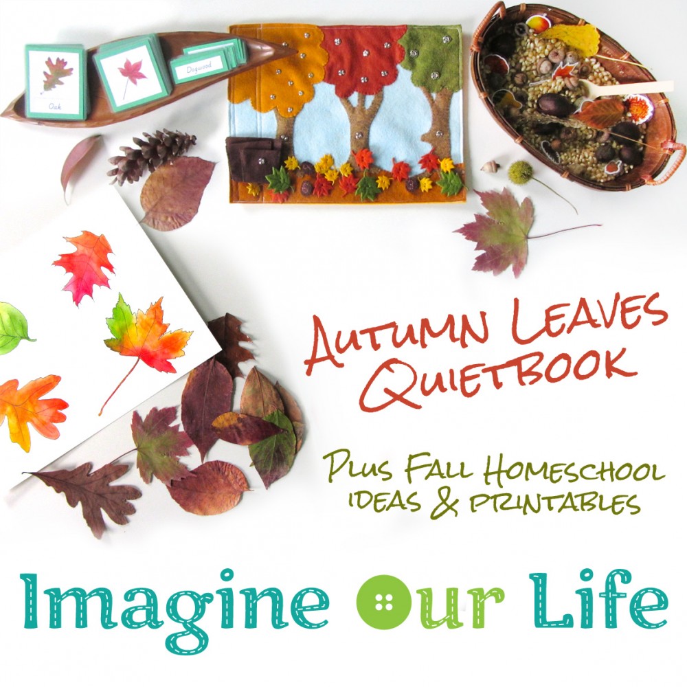 Autumn Leaves Quiet Book & Fall Homeschool Unit