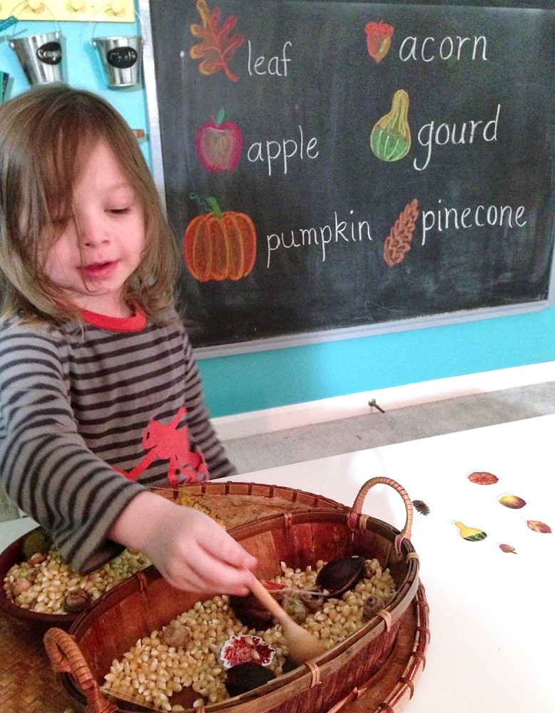 Autumn Sensory Bin