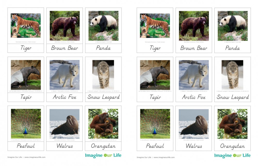 Animals of Asia for the Montessori Wall Map & Quietbook with Printables