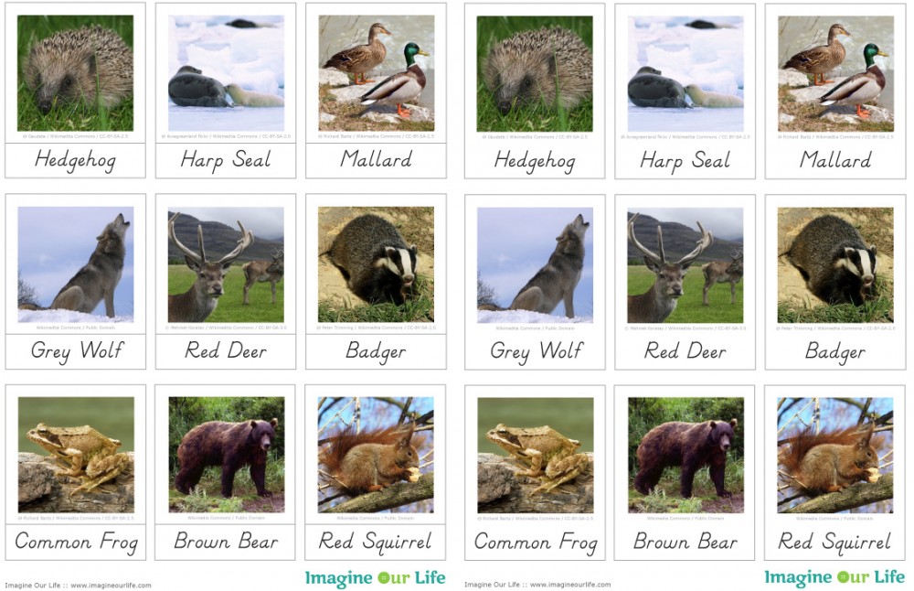 Animals of Europe for the Montessori Wall Map & Quietbook with Printables