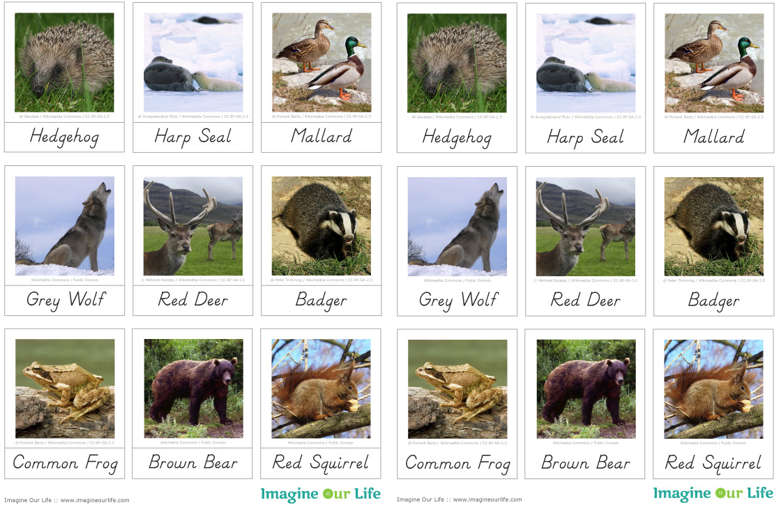 Animals of Europe for the Montessori Wall Map & Quietbook with Printables |  Imagine Our Life