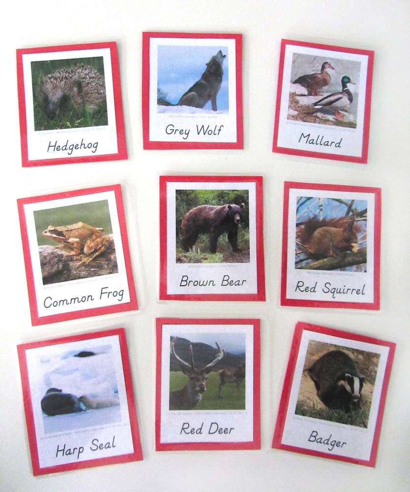 Animals of Europe for the Montessori Wall Map & Quietbook with Printables