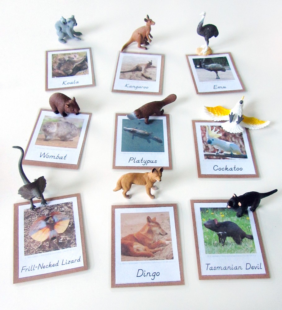 Animals of Australia for the Montessori Wall Map & Quietbook with Printables