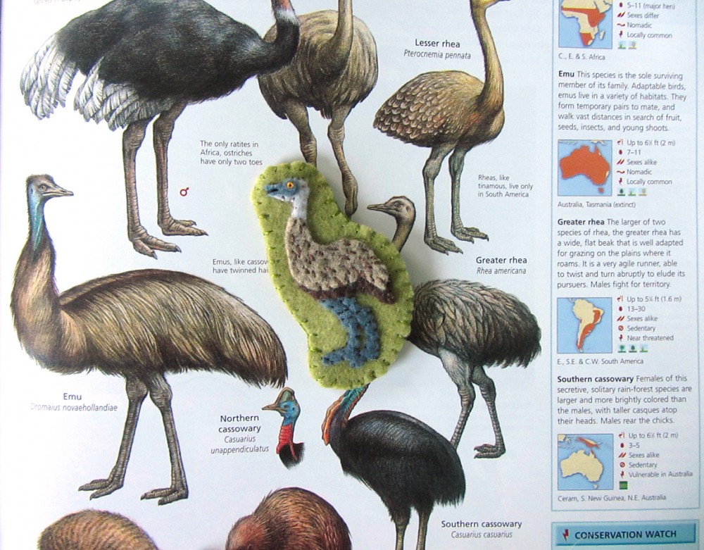 We love this animal encyclopaedia!