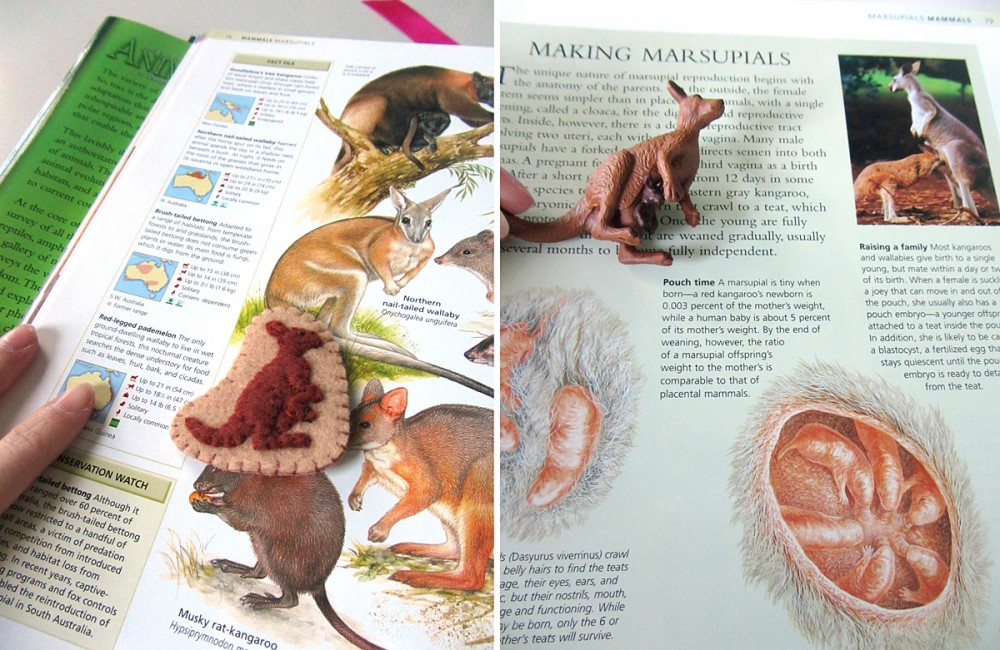 Animals of Australia for the Montessori Wall Map & Quietbook with Printables